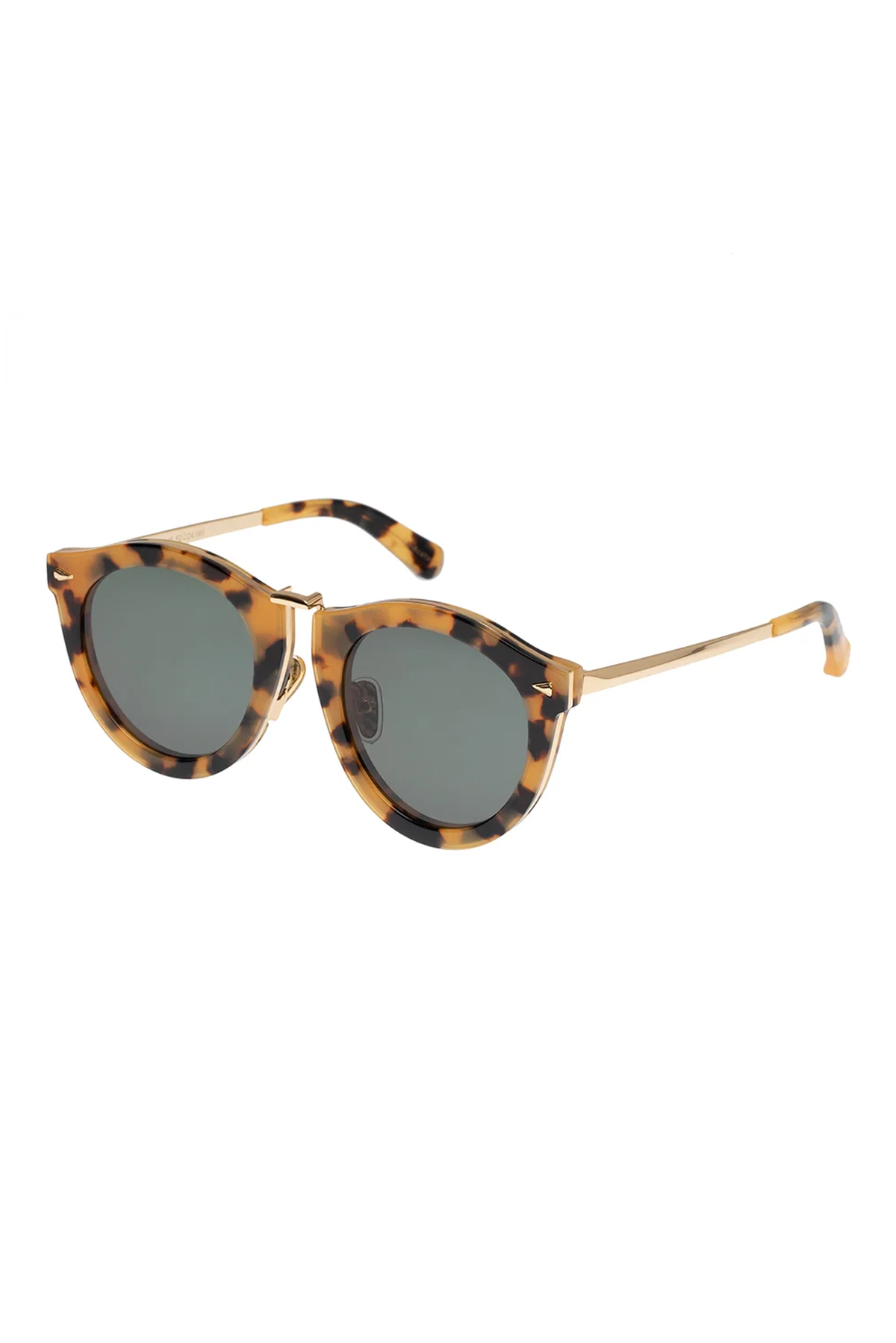HARVEST SUNGLASSES