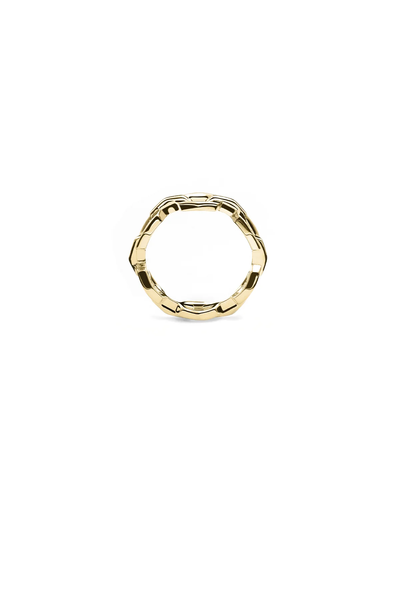 FACET CHAIN RING