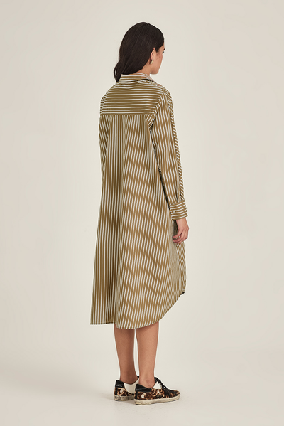 SILLS JULES STRIPE SHIRT DRESS COBALT BLUE TAN STRIPE SHIRT DRESS MIDI COTTON