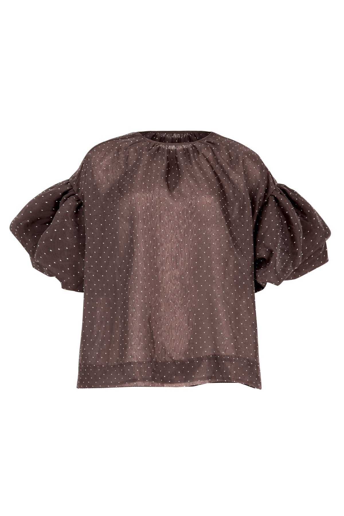 A PROBLEM SHEERED BLOUSE