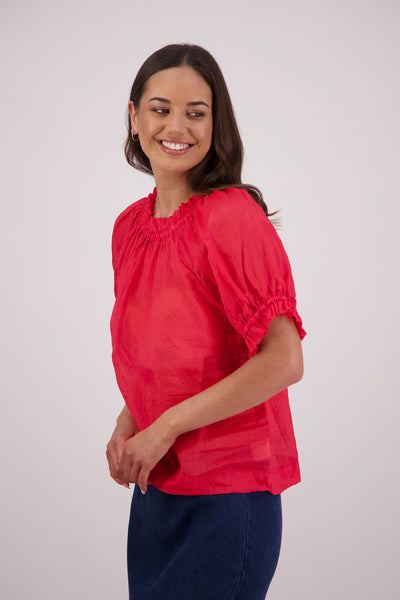 BRIARWOOD TEDDY TOP ROYAL BLUE RED YELLOW