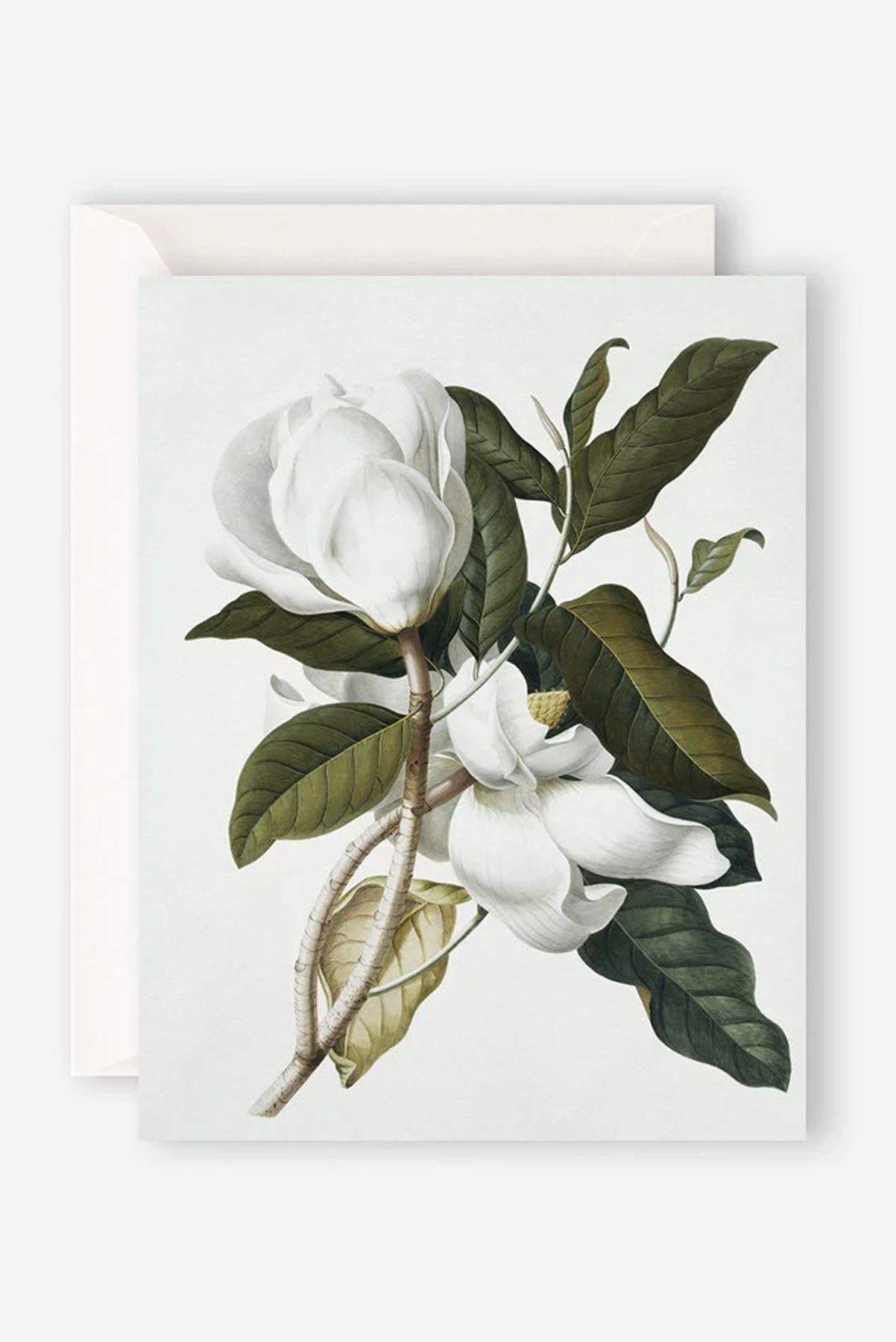 GARDENIA CARD
